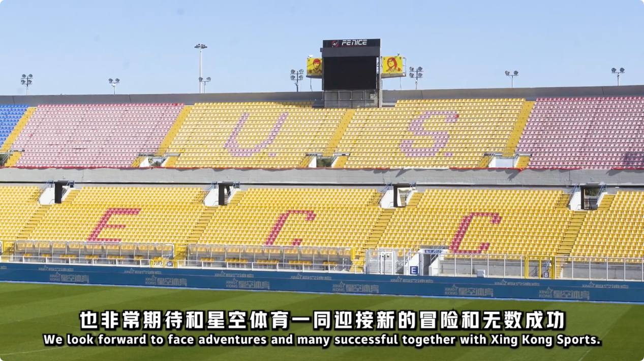 将是无数体 将是无数体