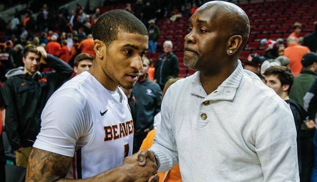 图案创作 图案创作